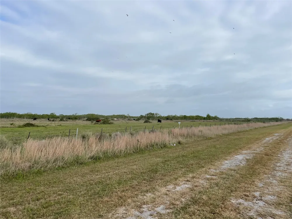 Harbor Dr Hitchcock, TX 77563