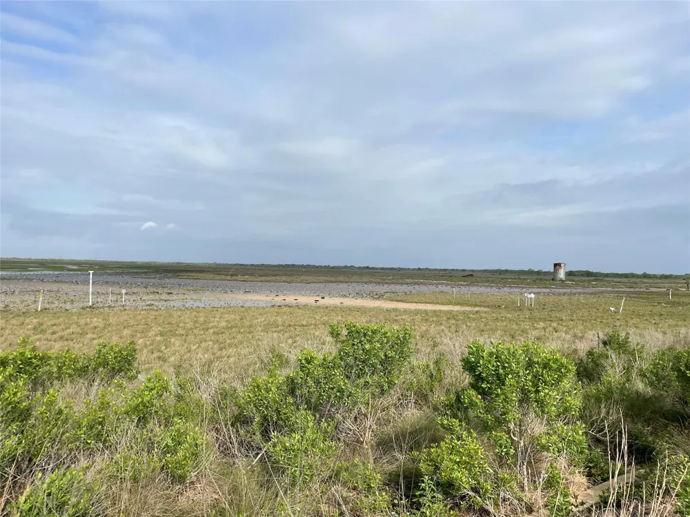 Harbor Dr Hitchcock, TX 77563