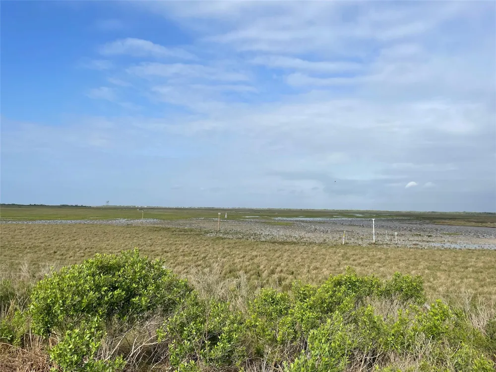 Harbor Dr Hitchcock, TX 77563