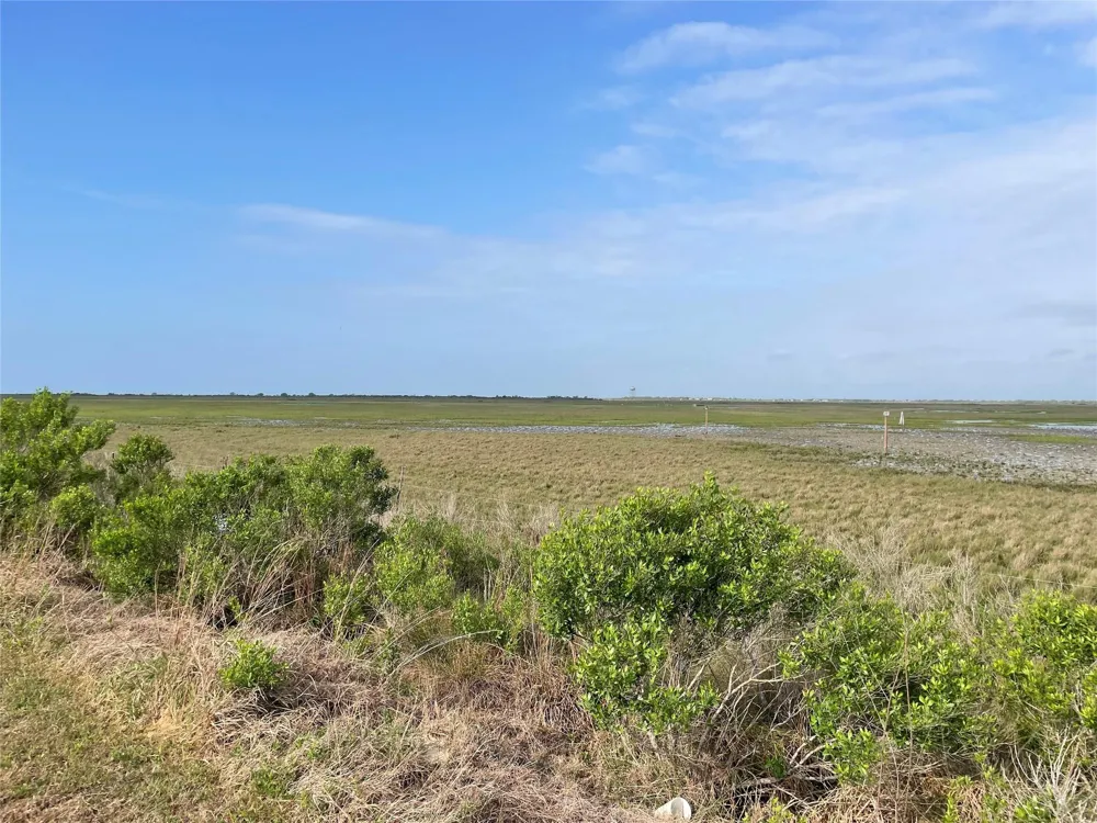 Harbor Dr Hitchcock, TX 77563