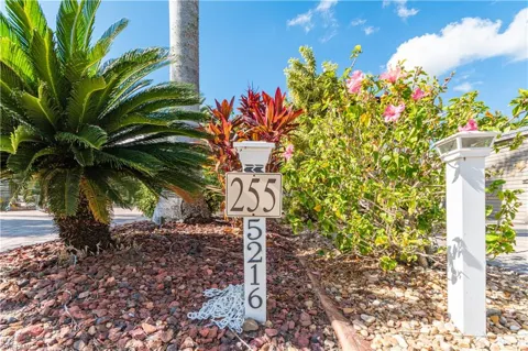 5216 Pineland Daisy Trail