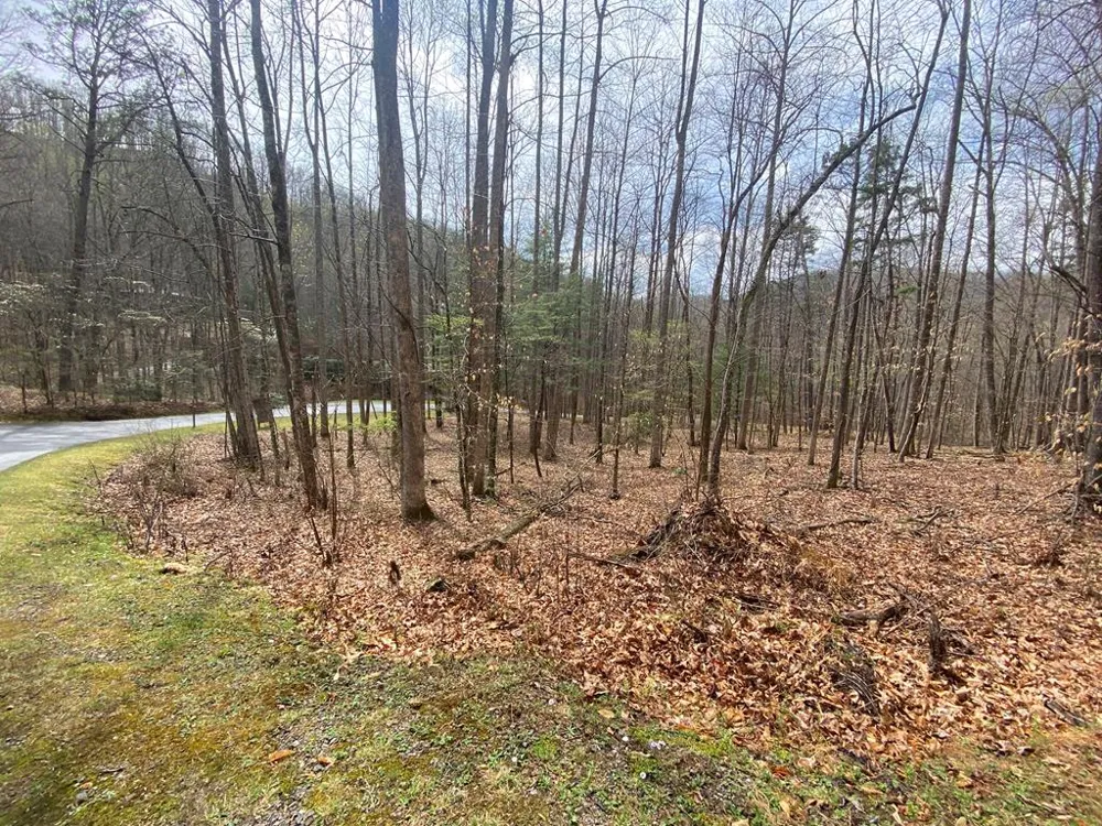 Deer Run Franklin, NC 28734