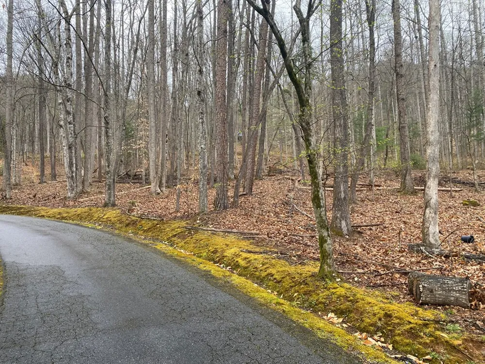 Deer Run Franklin, NC 28734