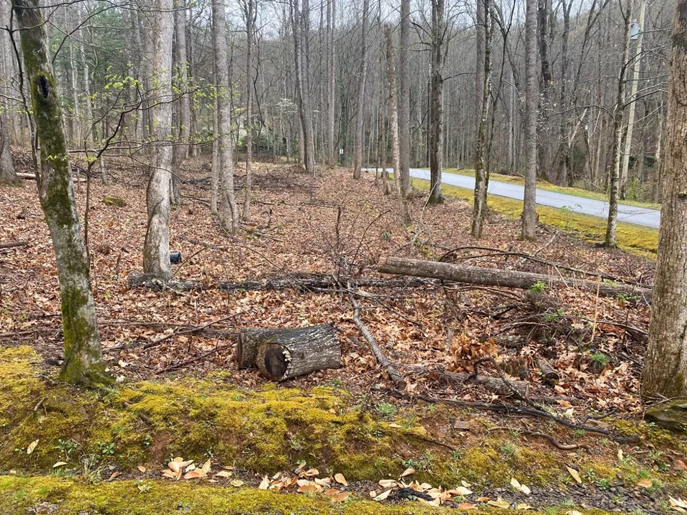 Deer Run Franklin, NC 28734