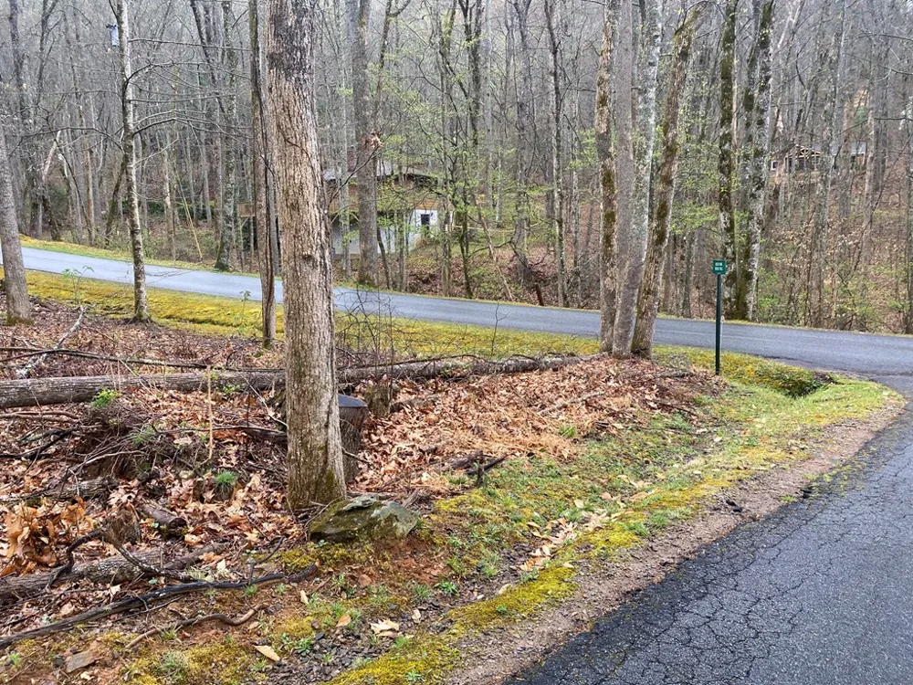 Deer Run Franklin, NC 28734
