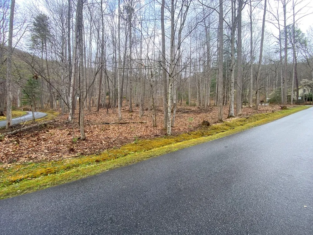 Deer Run Franklin, NC 28734