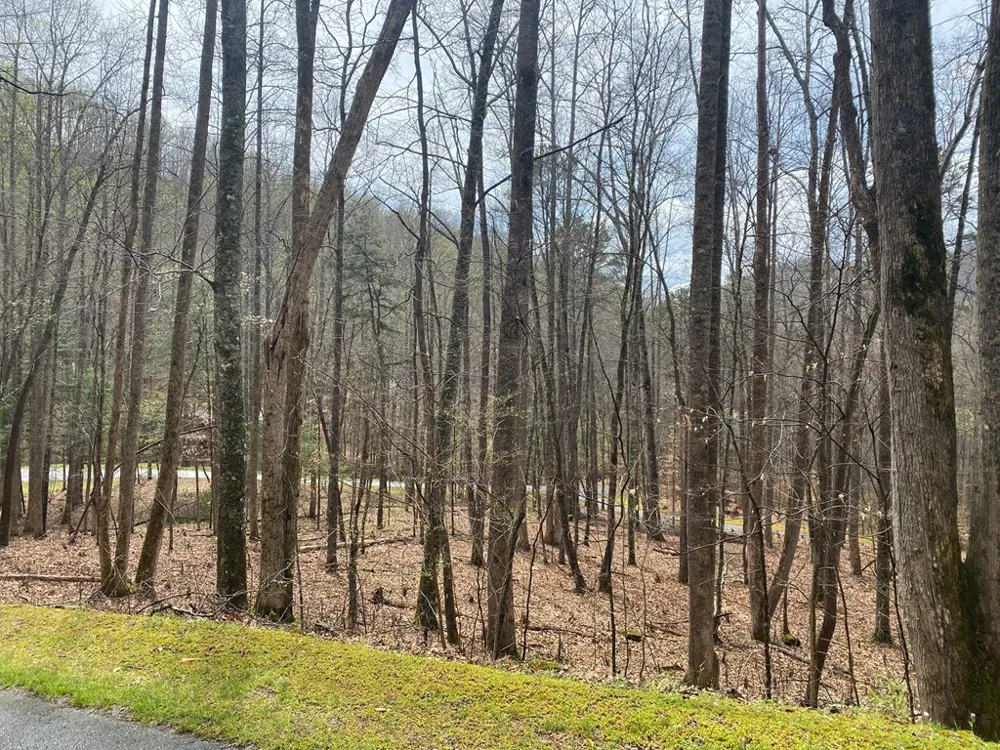 Deer Run Franklin, NC 28734