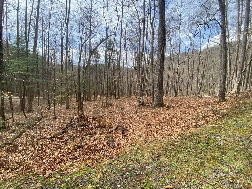 Deer Run Franklin, NC 28734