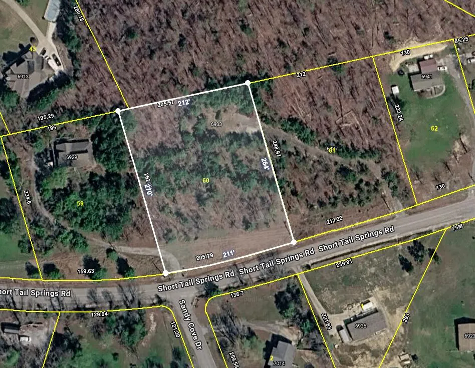 69376933 Short Tail Springs Road Harrison, TN 37341