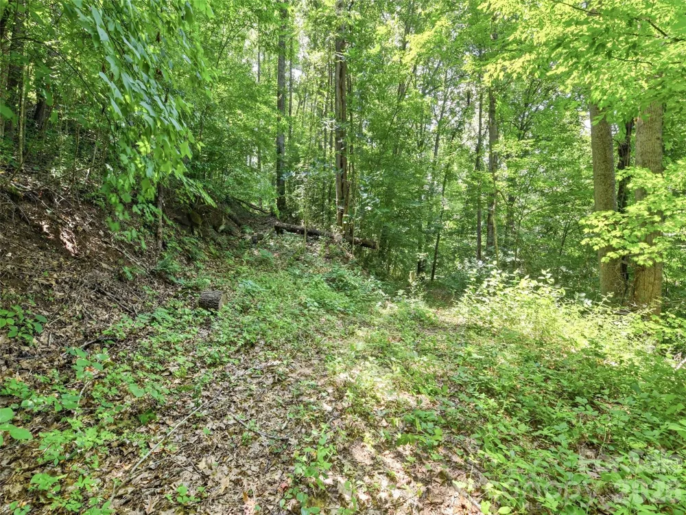 252 Big Stomp Road Waynesville, NC 28786