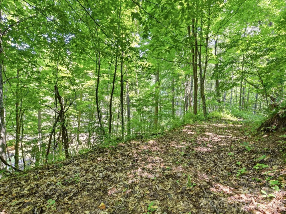 252 Big Stomp Road Waynesville, NC 28786