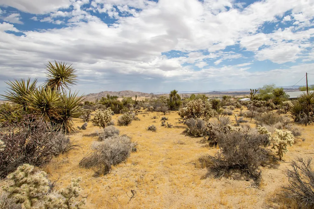 207 Onaga Trail Joshua Tree, CA 92252