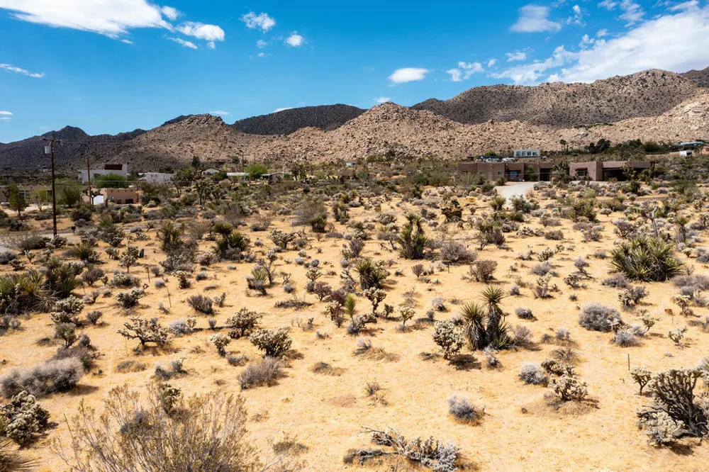207 Onaga Trail Joshua Tree, CA 92252