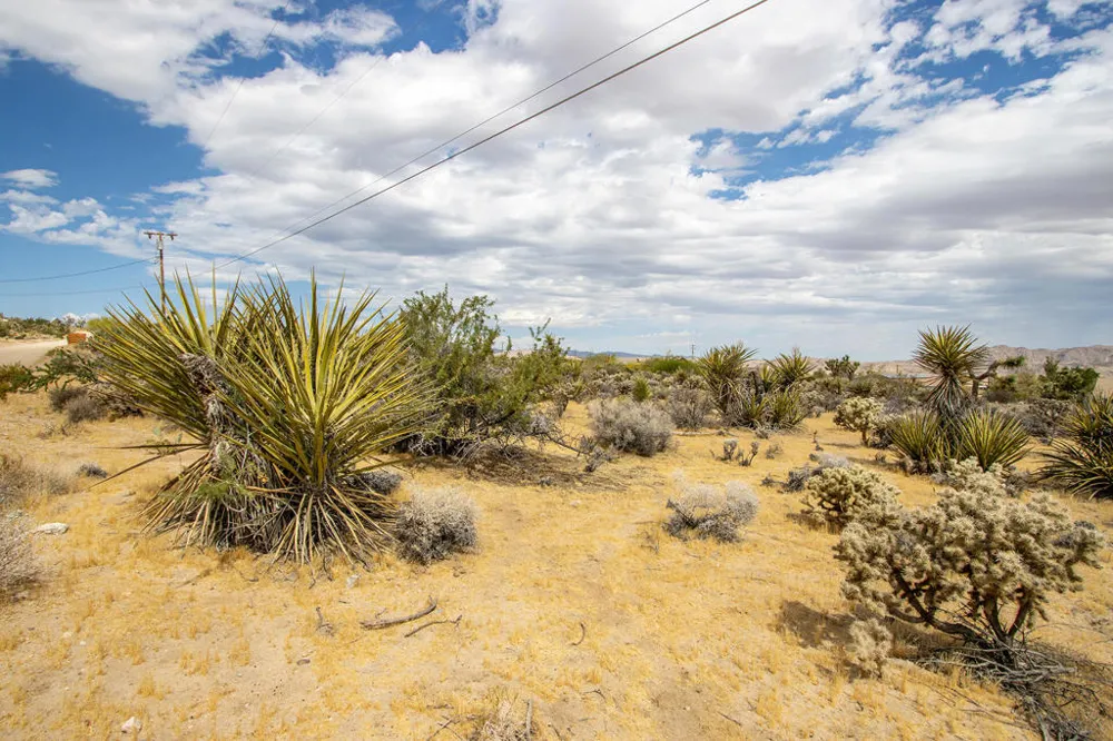 207 Onaga Trail Joshua Tree, CA 92252