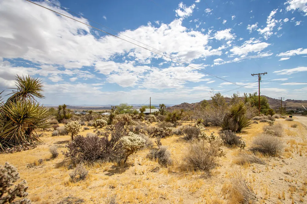 207 Onaga Trail Joshua Tree, CA 92252