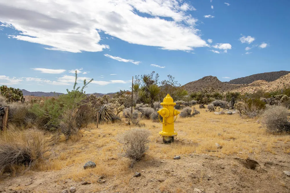207 Onaga Trail Joshua Tree, CA 92252