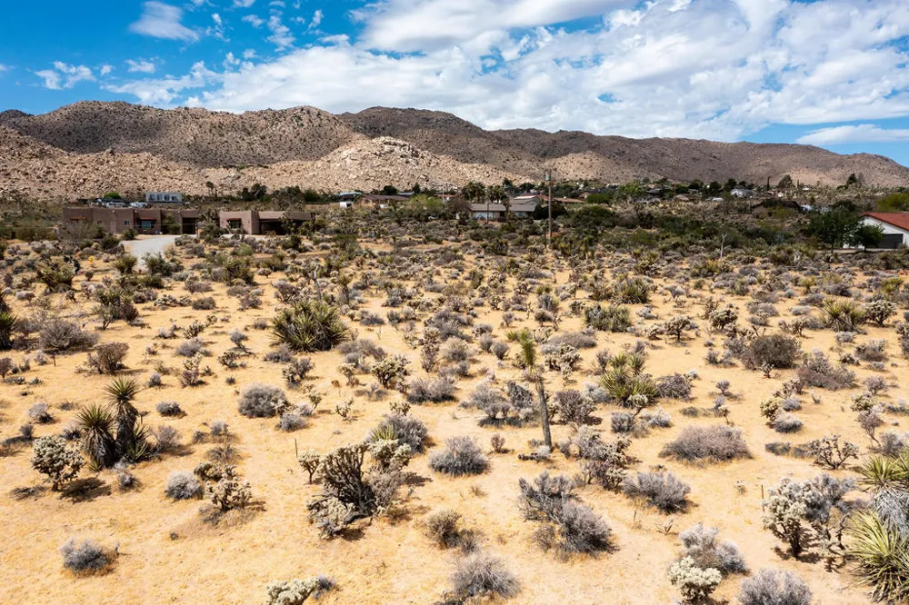 207 Onaga Trail Joshua Tree, CA 92252