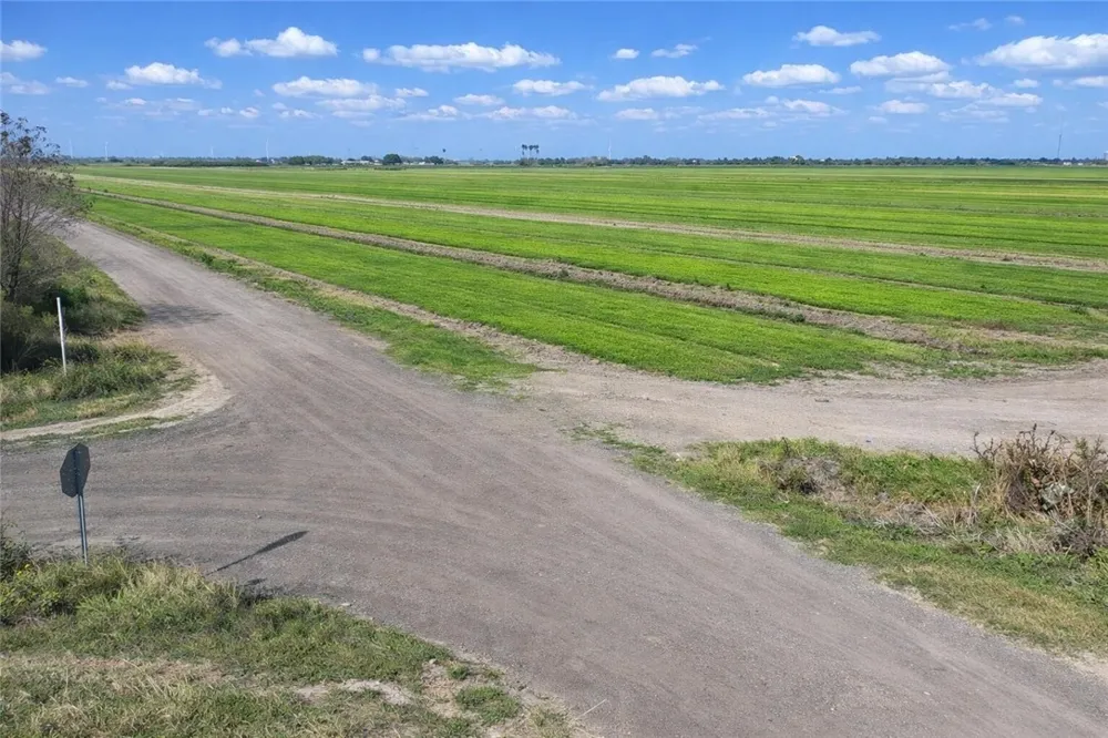 Thompson Agua Dulce, TX 78593