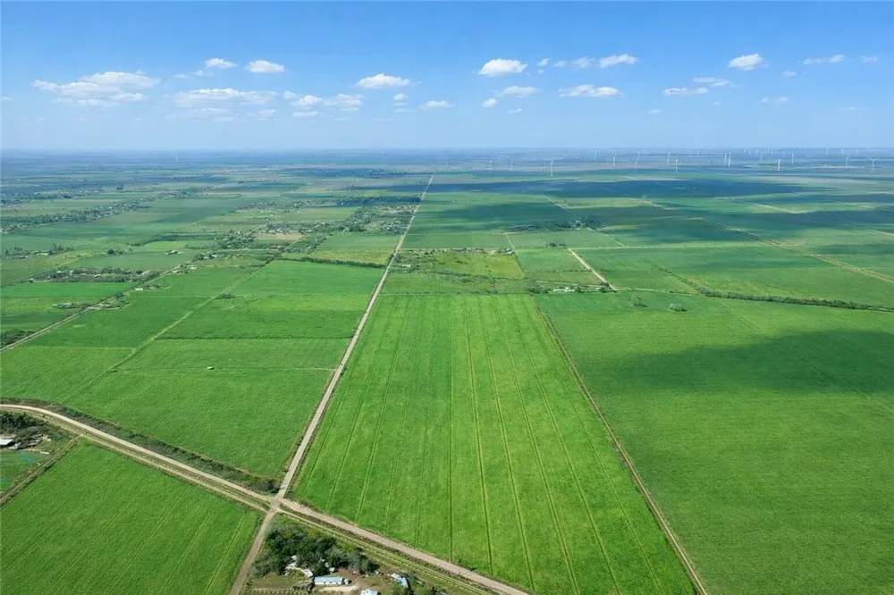 Thompson Agua Dulce, TX 78593