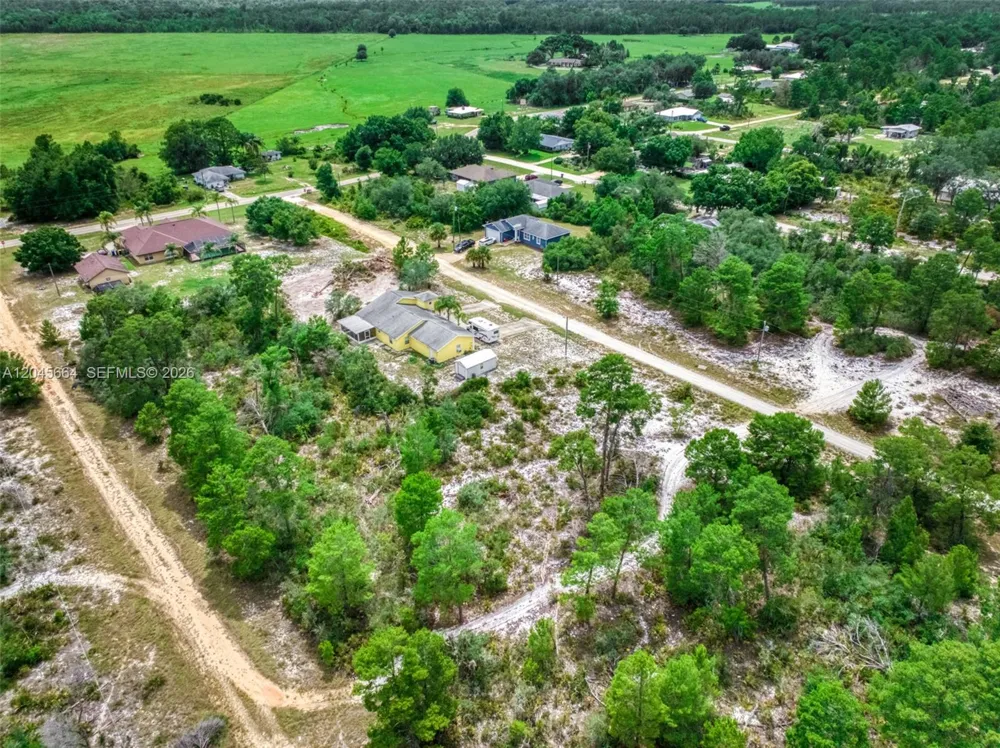 3077 W Scoralick Road Avon Park, FL 33825