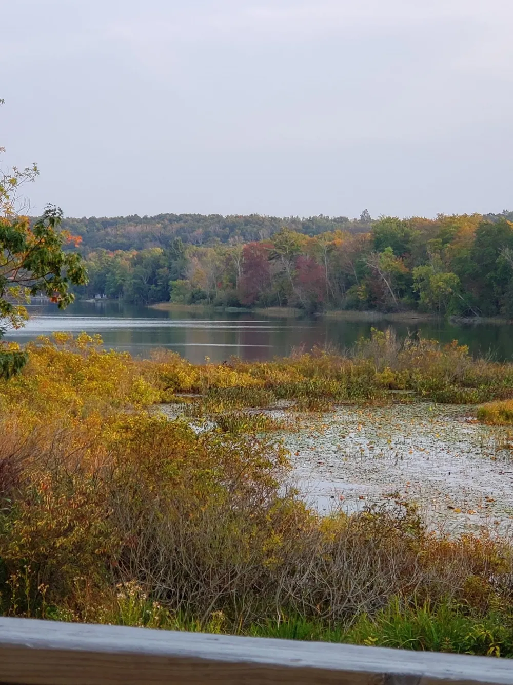 4091 Scenic Highway Lake Township, MI 49640