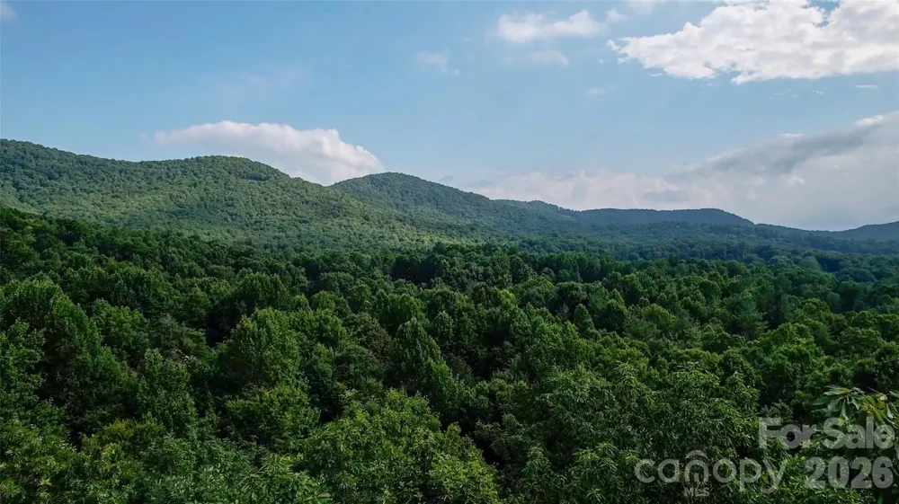 724 Streamside Drive Arden, NC 28704