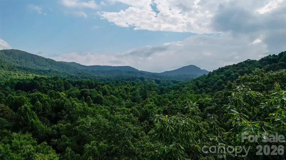 724 Streamside Drive Arden, NC 28704