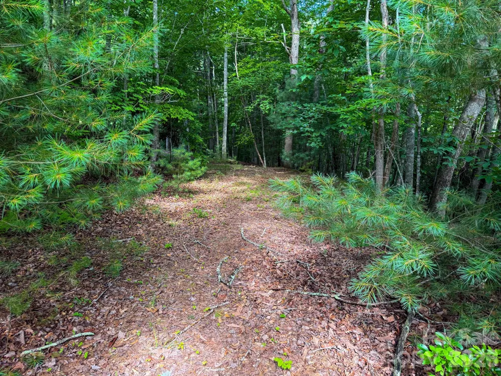 724 Streamside Drive Arden, NC 28704