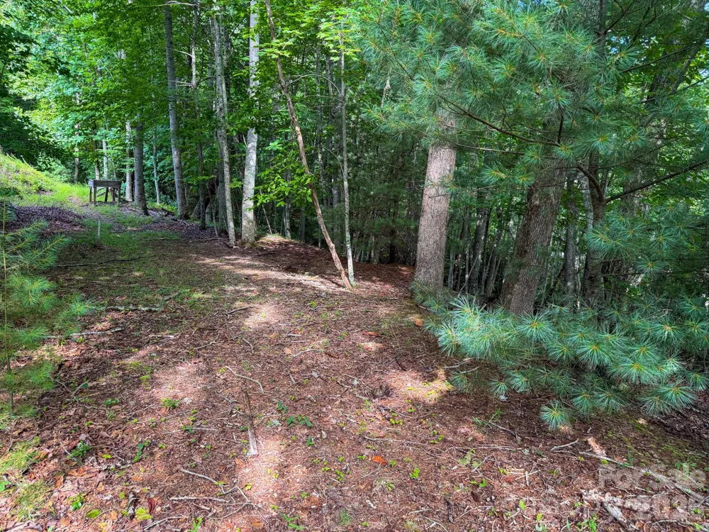 724 Streamside Drive Arden, NC 28704