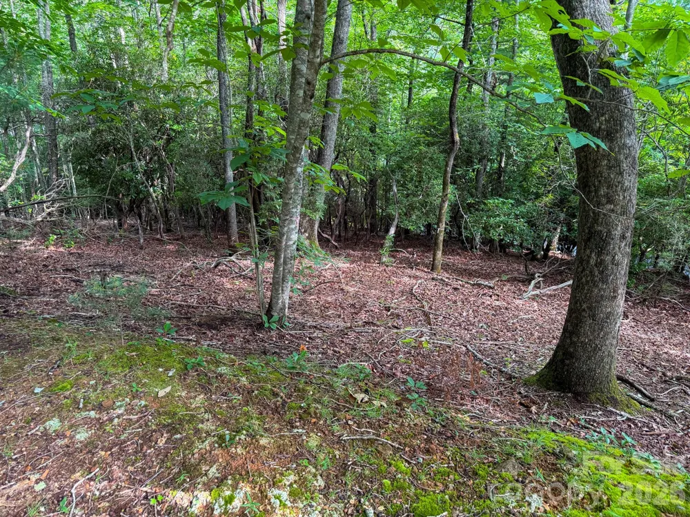 724 Streamside Drive Arden, NC 28704