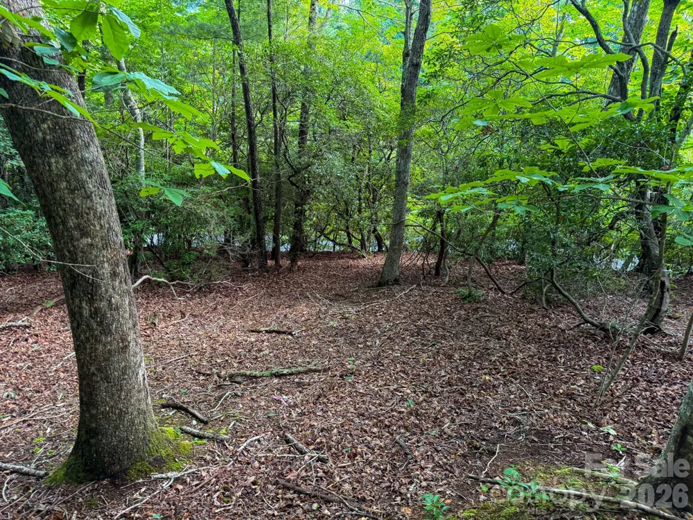 724 Streamside Drive Arden, NC 28704