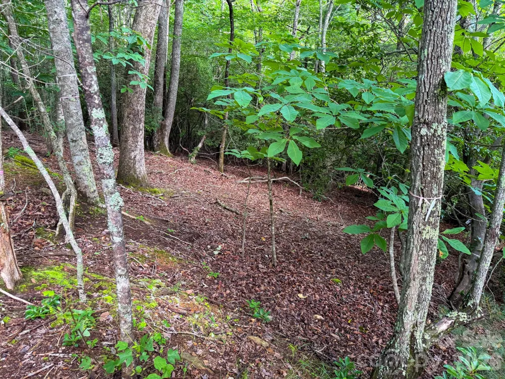 724 Streamside Drive Arden, NC 28704