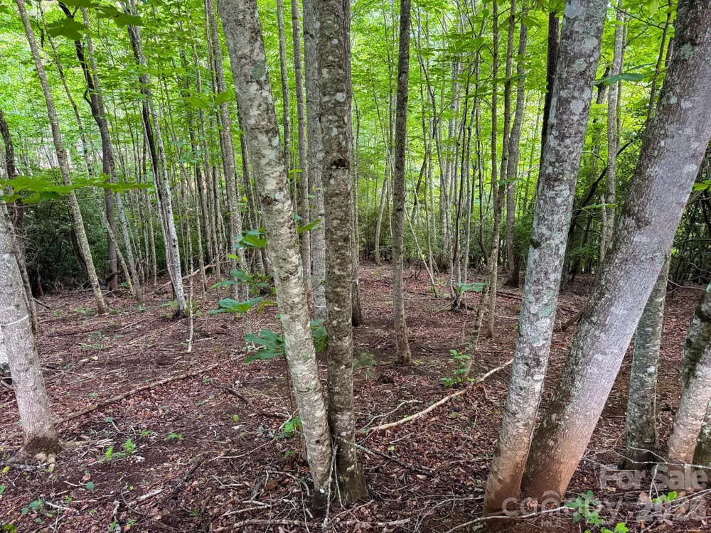 724 Streamside Drive Arden, NC 28704