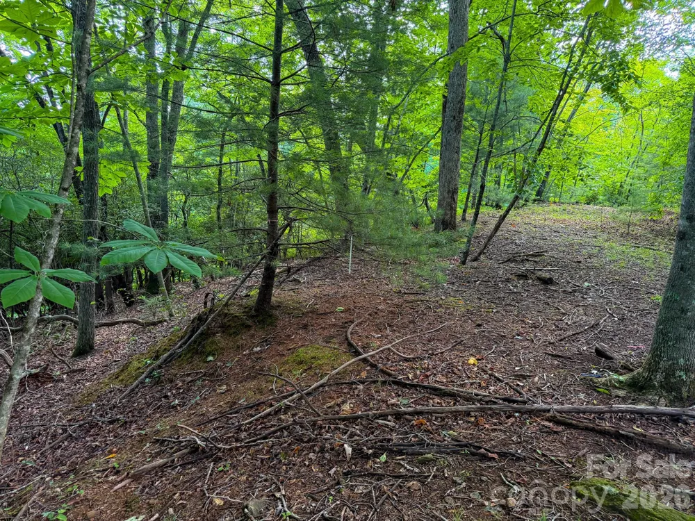 724 Streamside Drive Arden, NC 28704