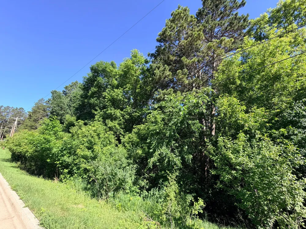 506 Central Avenue S Park Rapids, MN 56470