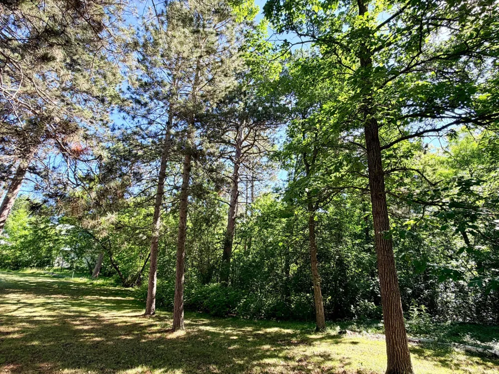 506 Central Avenue S Park Rapids, MN 56470
