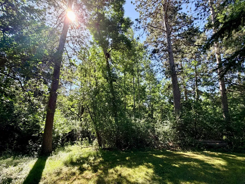 506 Central Avenue S Park Rapids, MN 56470