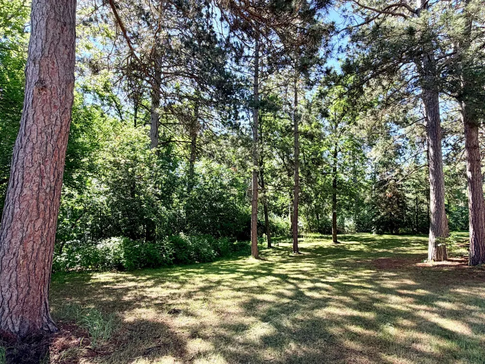 506 Central Avenue S Park Rapids, MN 56470