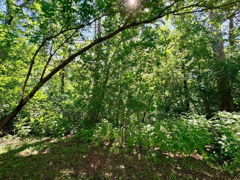 506 Central Avenue S Park Rapids, MN 56470
