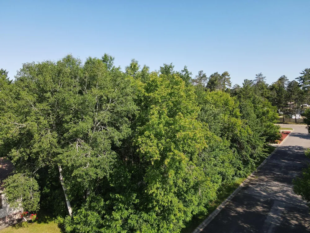 tbd NE 5th Ave Grand Rapids, MN 55744