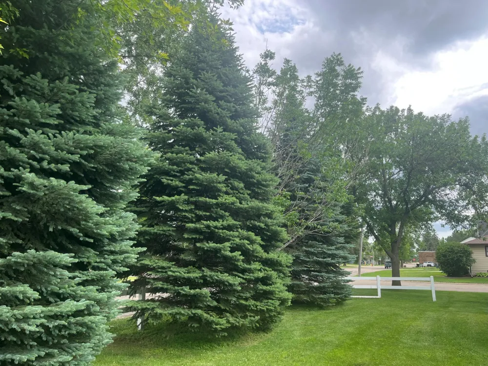 301 5th Street SW Hankinson, ND 58041