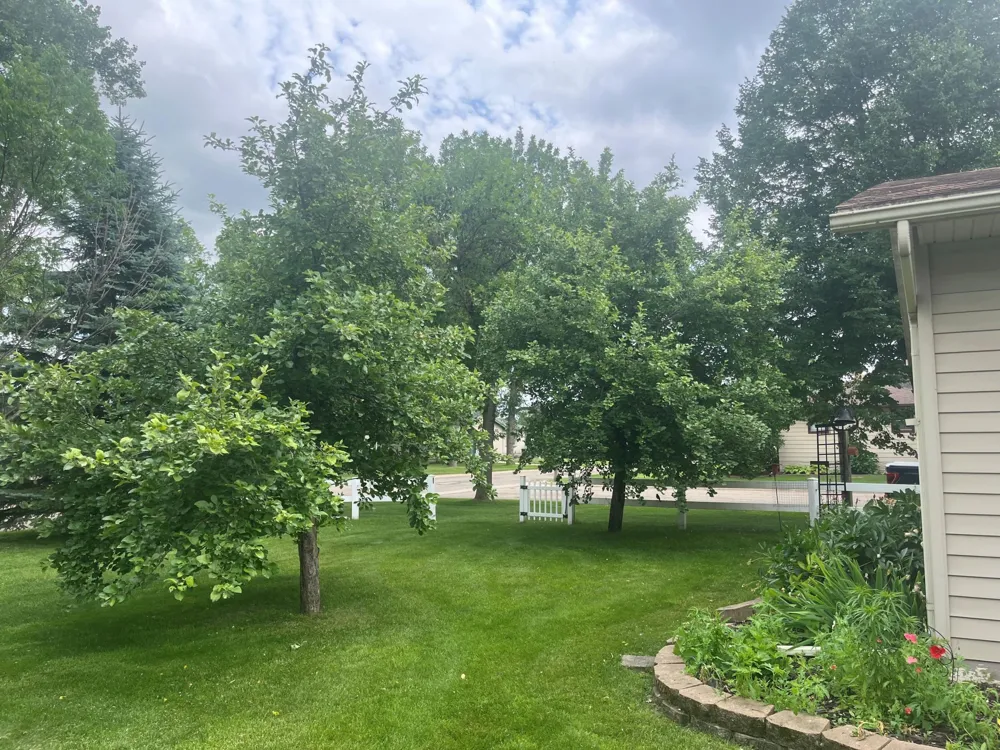 301 5th Street SW Hankinson, ND 58041
