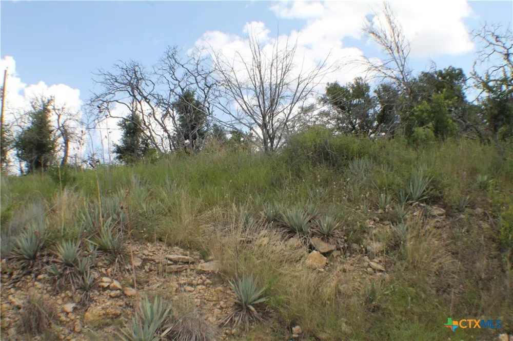Newcastle Dr Brownwood, TX 76801