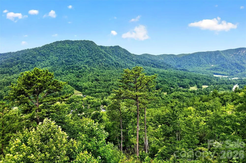 40 E Valley View Drive Marion, NC 28752