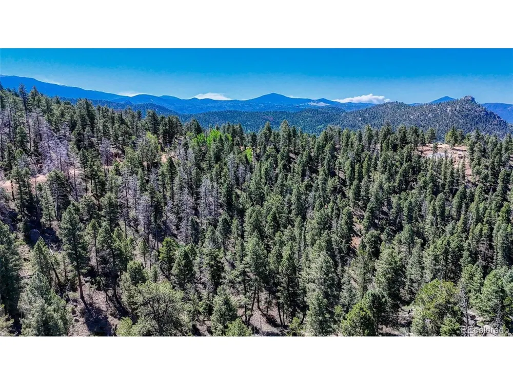 3454 Mountain Estates Road Florissant, CO 80816