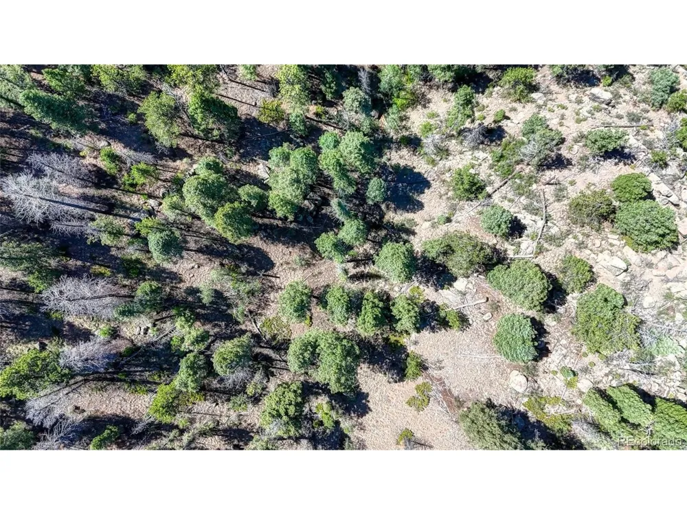 3454 Mountain Estates Road Florissant, CO 80816