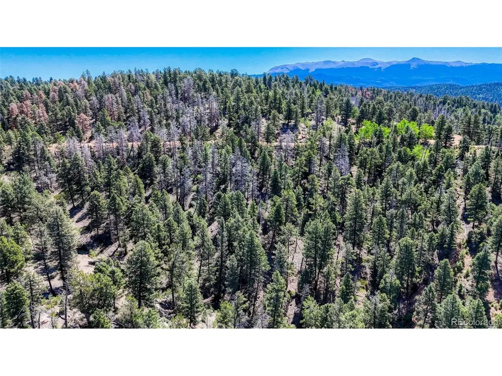 3454 Mountain Estates Road Florissant, CO 80816