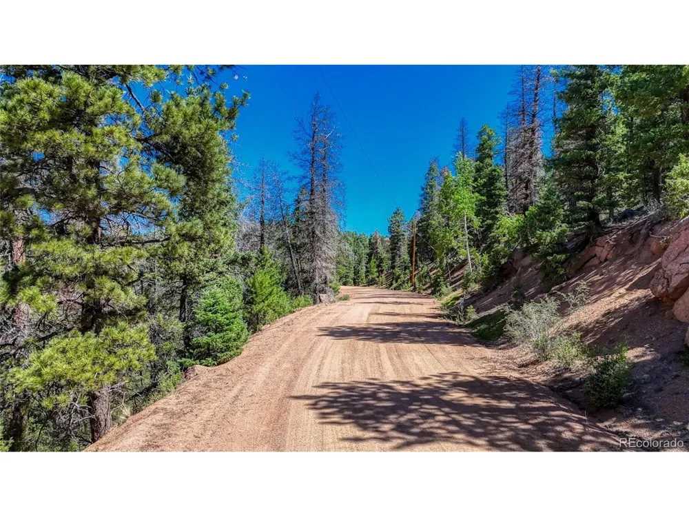 3454 Mountain Estates Road Florissant, CO 80816