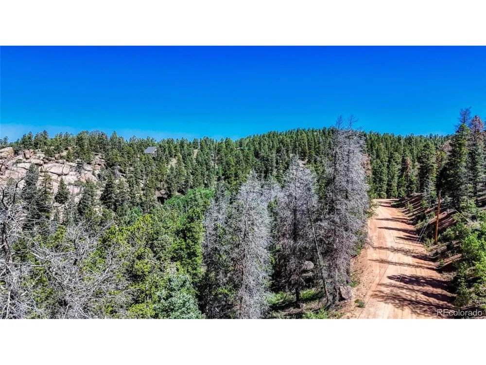 3454 Mountain Estates Road Florissant, CO 80816