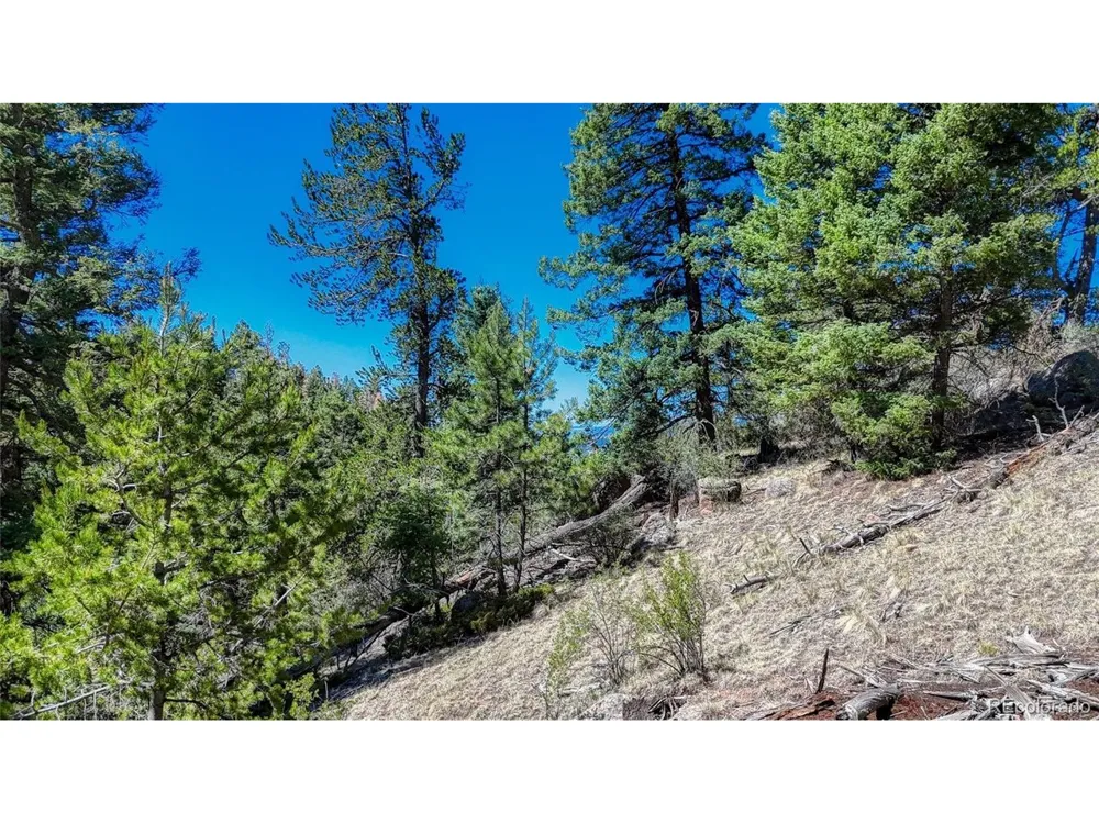 3454 Mountain Estates Road Florissant, CO 80816